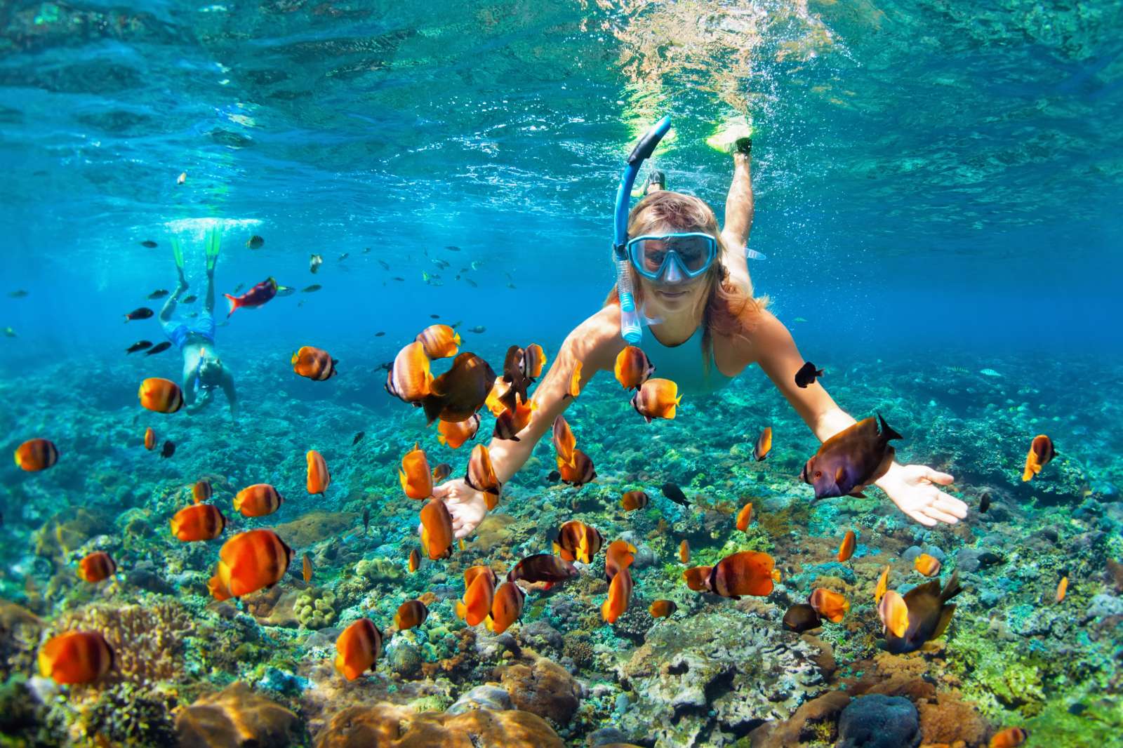 Snorkeling, du lịch, trải nghiệm, khám phá