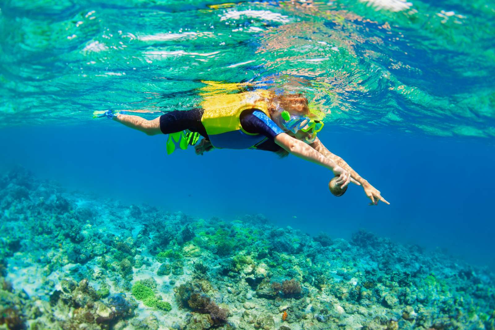 Snorkeling, du lịch, trải nghiệm, khám phá