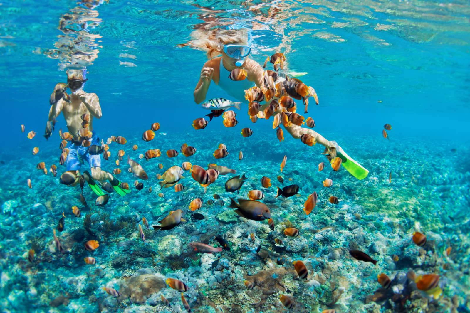 Snorkeling, du lịch, trải nghiệm, khám phá