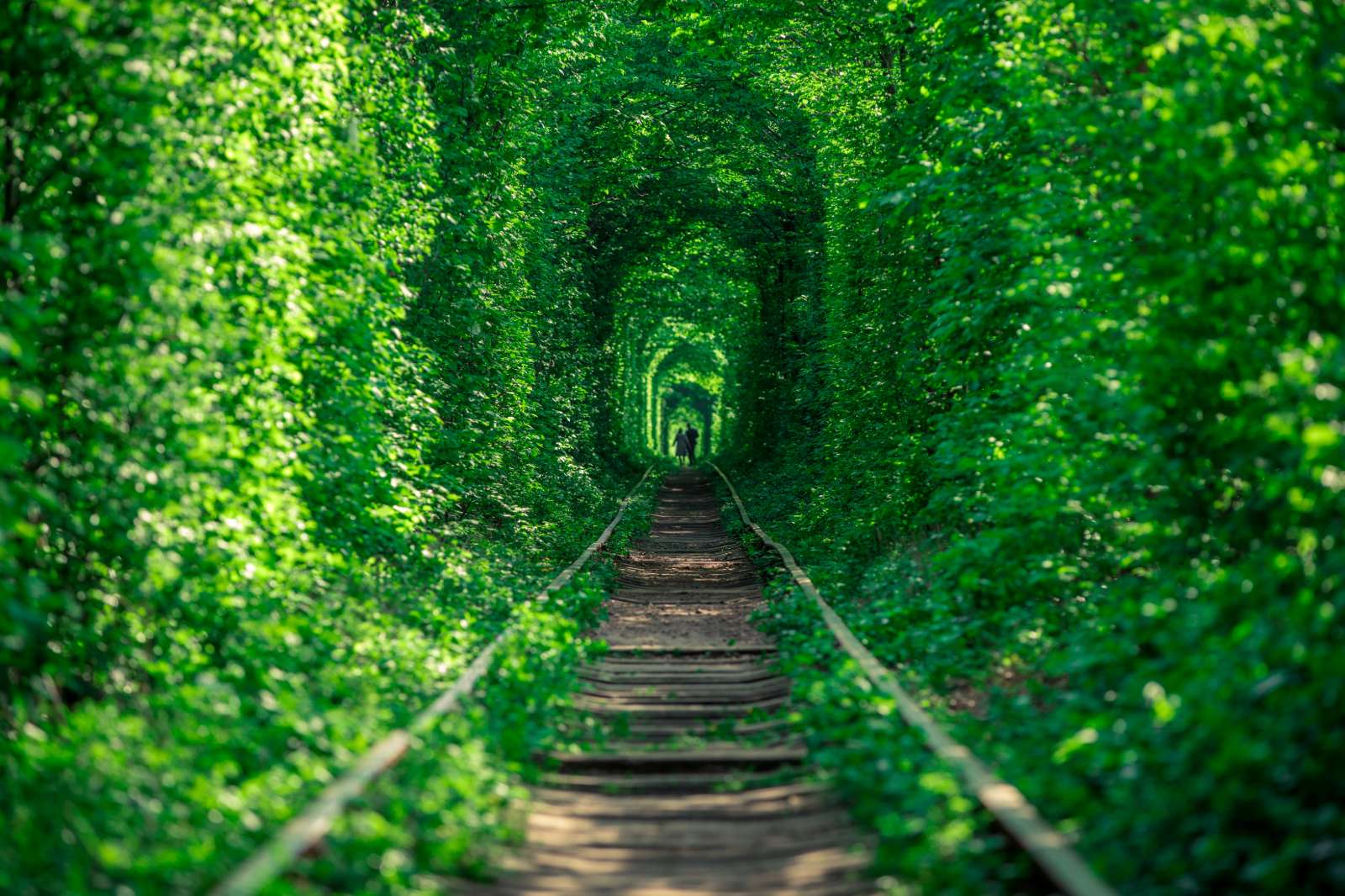 Ukraine, tunnel of love, du lịch, trải nghiệm