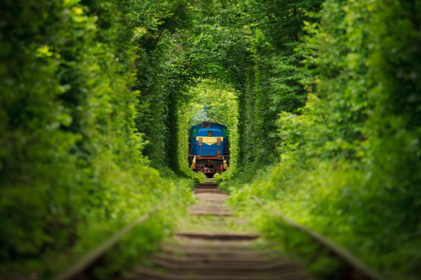 Ukraine, tunnel of love, du lịch, trải nghiệm