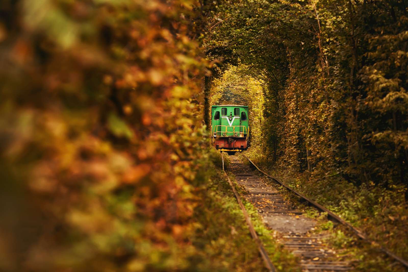 Ukraine, tunnel of love, du lịch, trải nghiệm