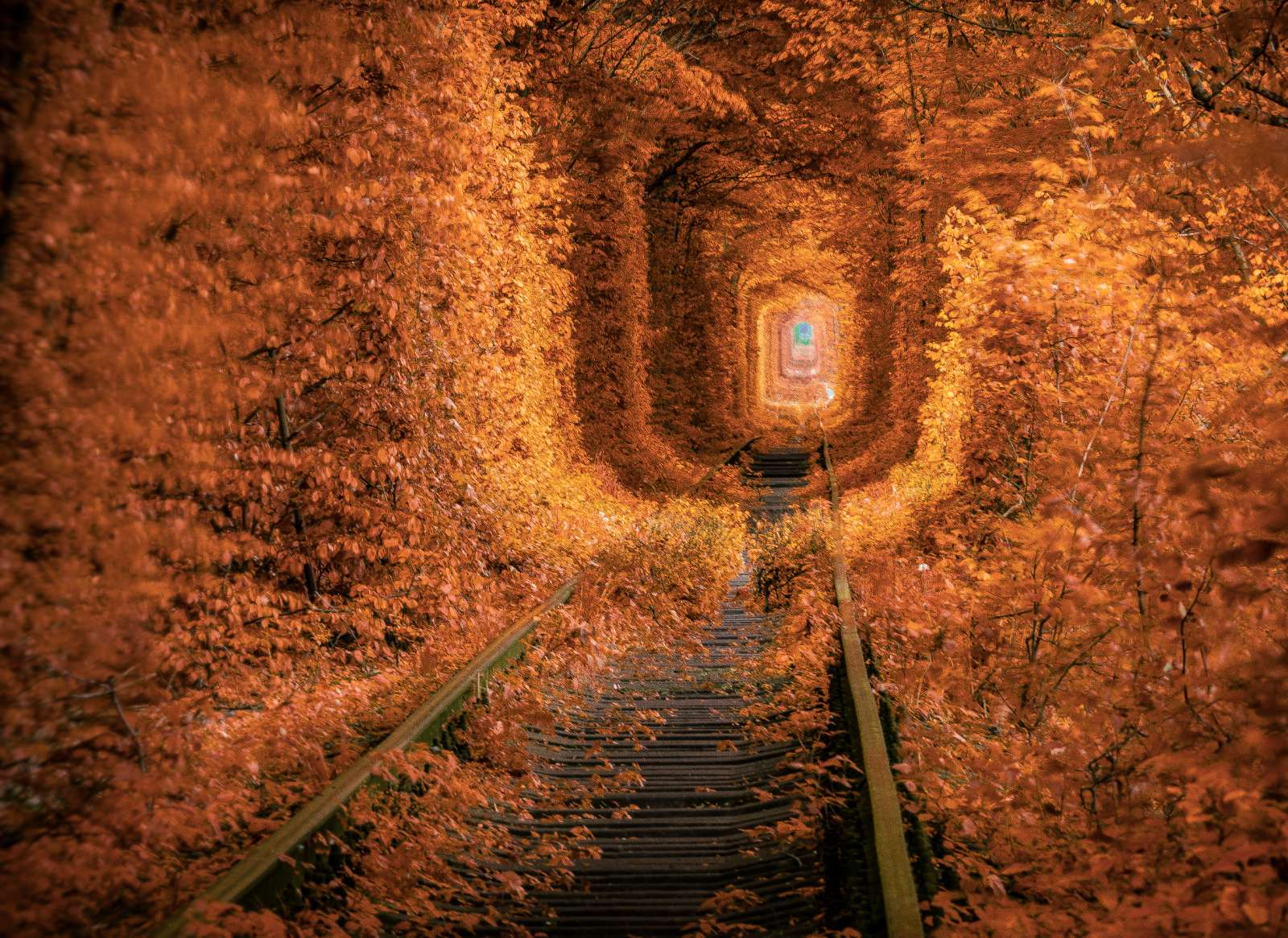 Ukraine, tunnel of love, du lịch, trải nghiệm