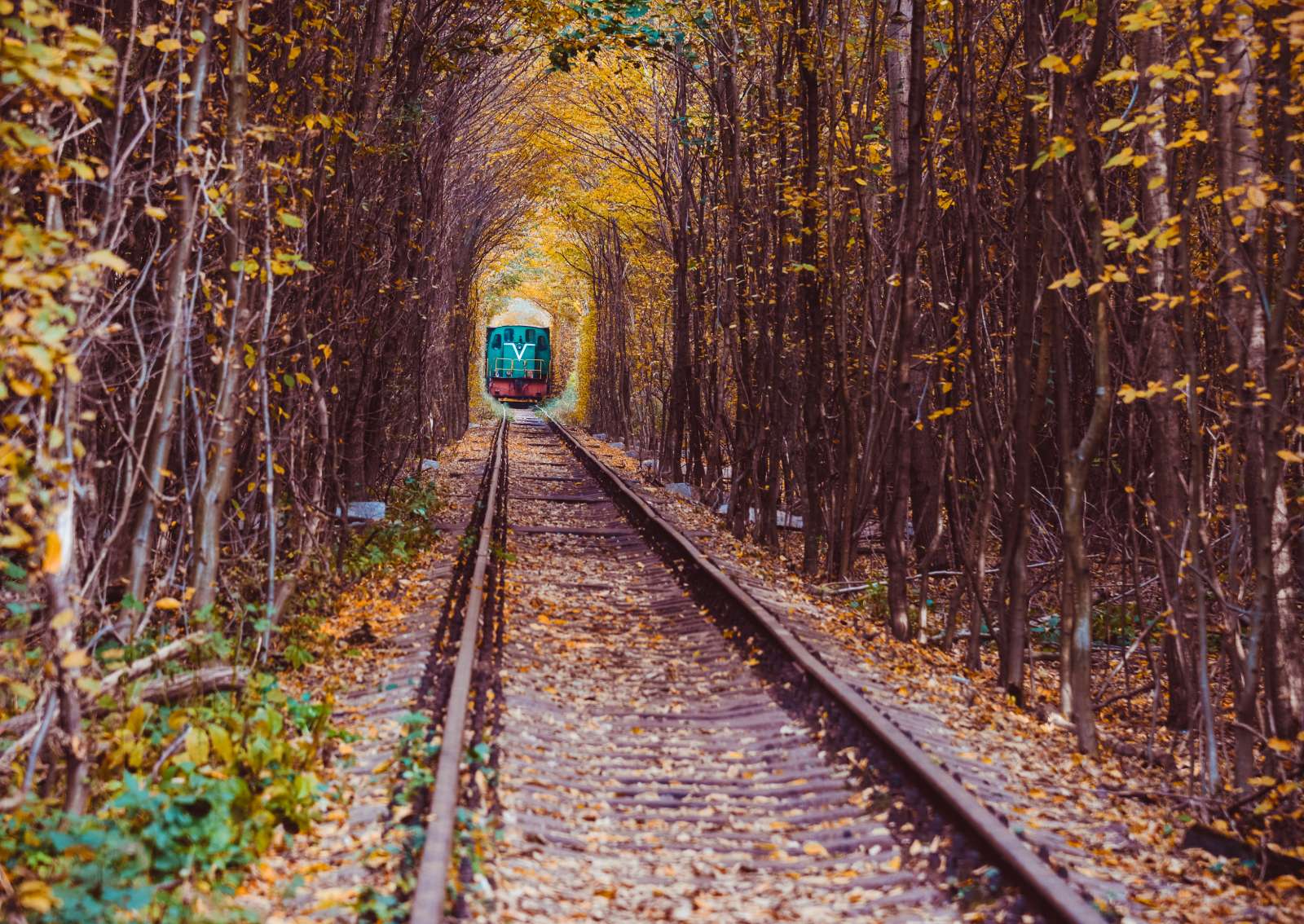 Ukraine, tunnel of love, du lịch, trải nghiệm