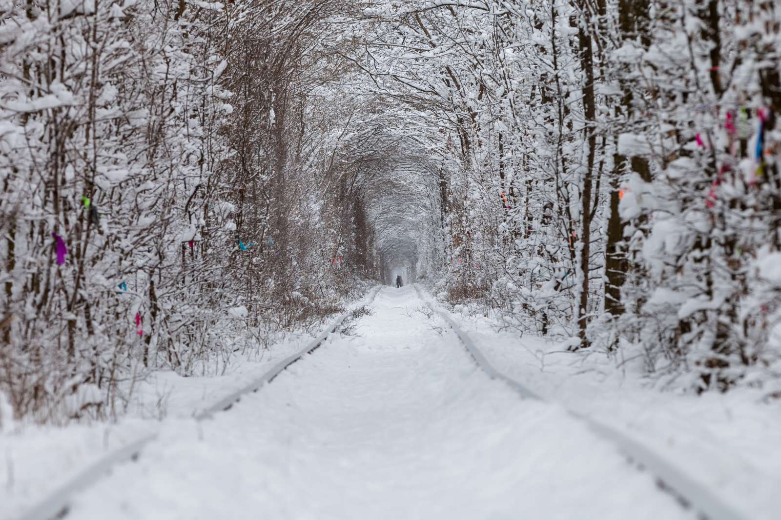 Ukraine, tunnel of love, du lịch, trải nghiệm