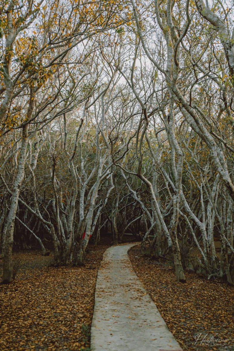 Rú Chá, du lịch, trải nghiệm, khám phá