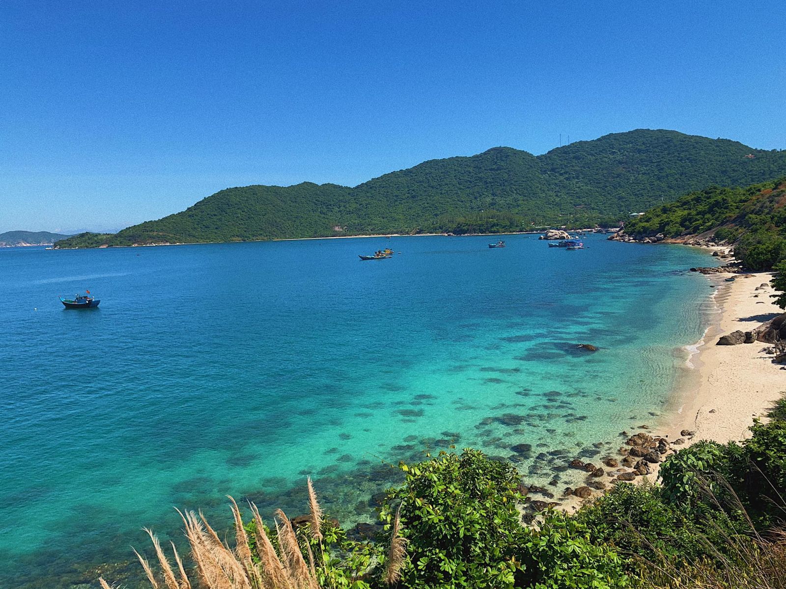 quảng nam, miền trung, du lịch miền trung, cù lao chàm, thánh địa mỹ sơn