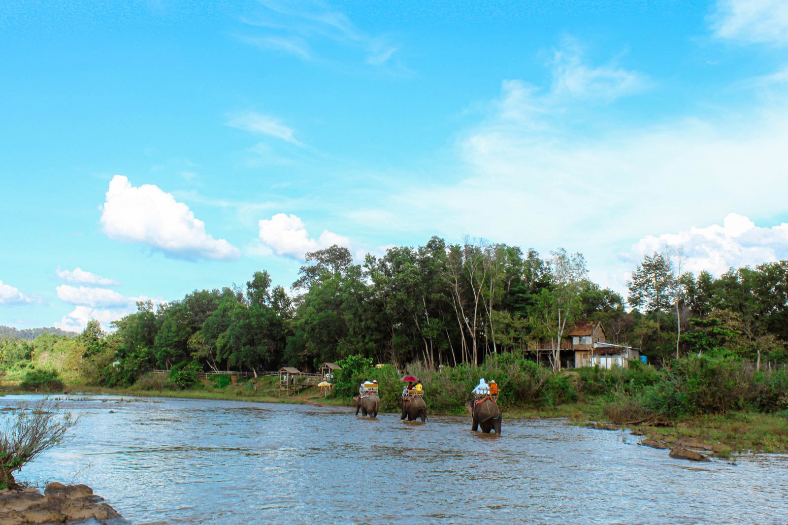 đắk lắk, dak lak, daklak, buôn mê thuột, tây nguyên