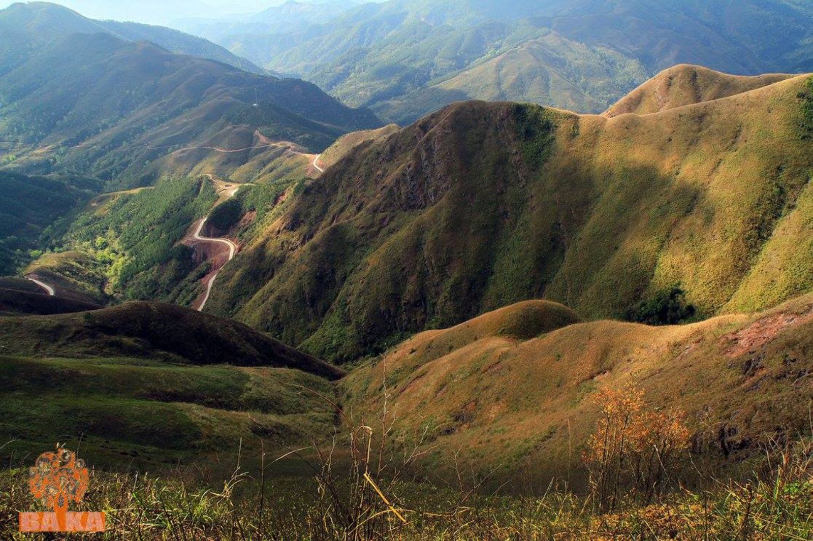 bình liêu, dãy bình liêu, sống lưng khủng long