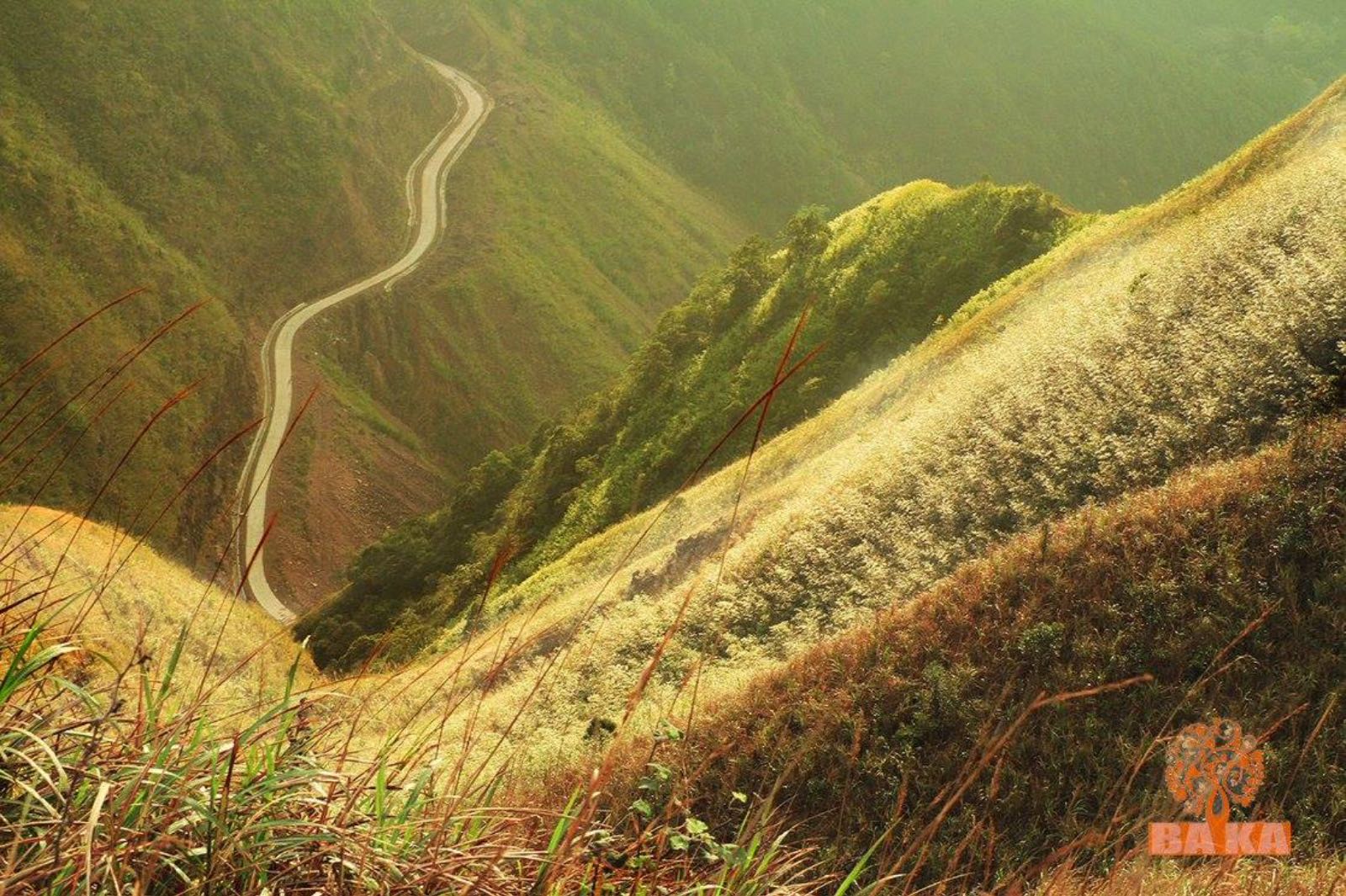 bình liêu, dãy bình liêu, sống lưng khủng long