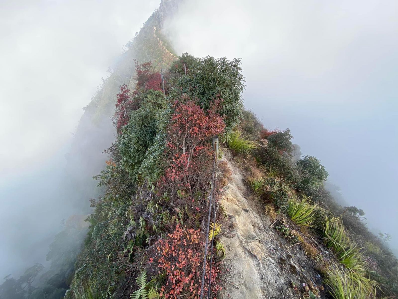 tà xùa, săn mây, tây bắc