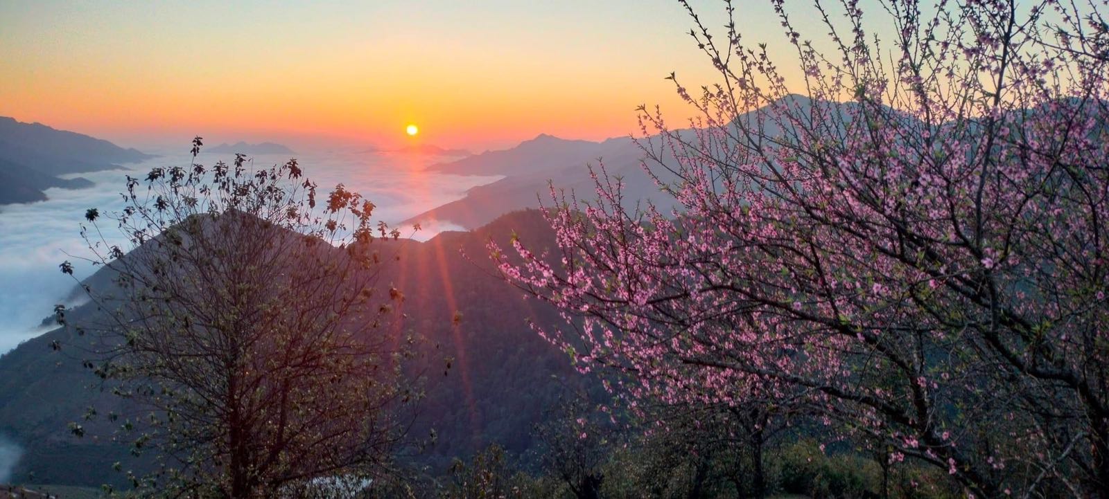 tà xùa, săn mây, tây bắc