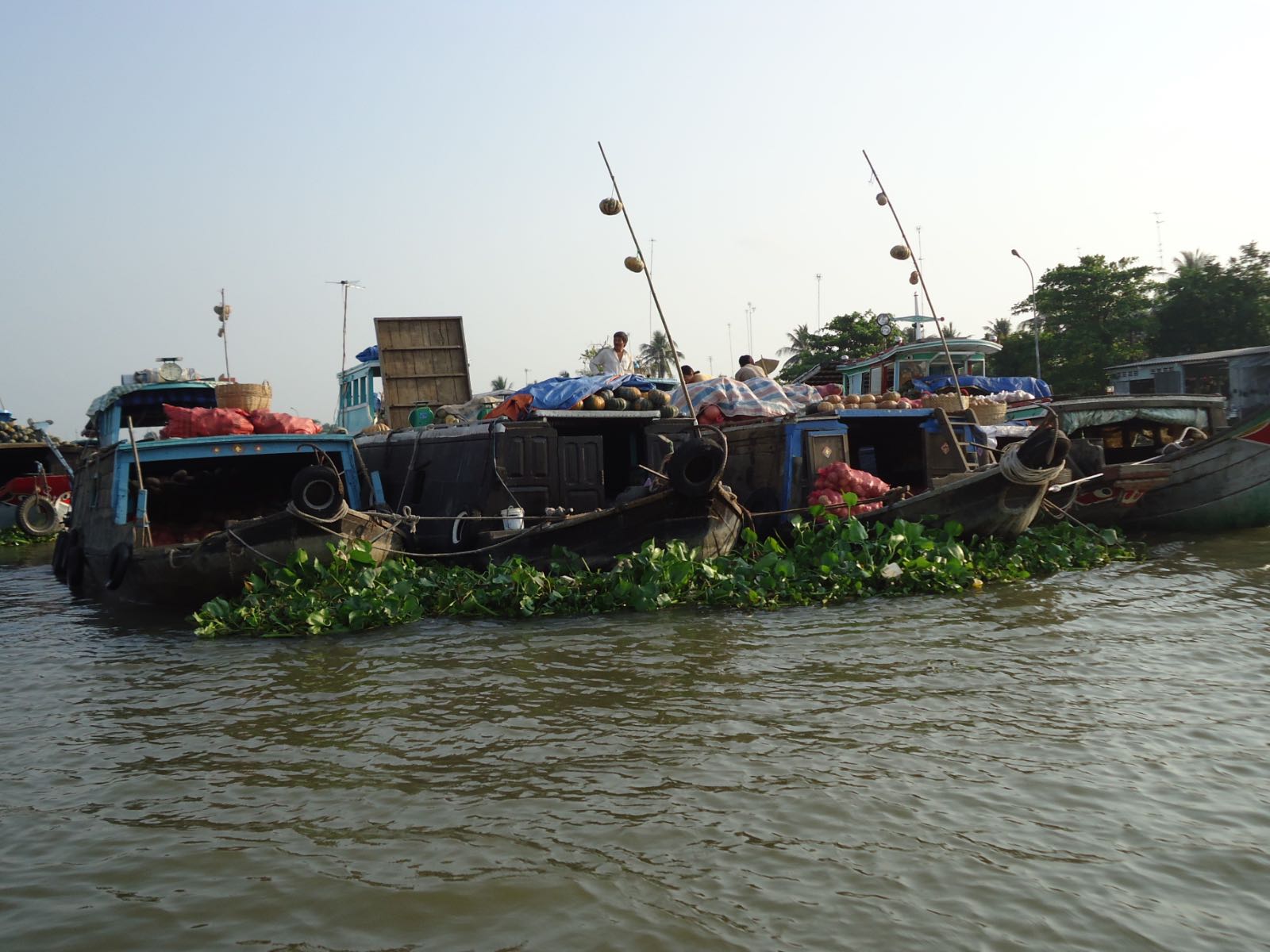 miền tây, tiền giang, miệt vườn