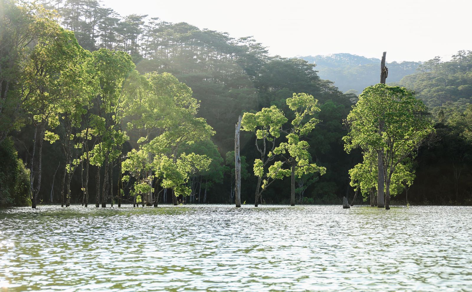 d'ran, trấn cổ, đơn dương, tây nguyên 