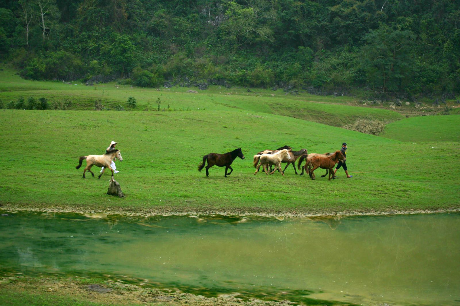 hữu liên, lạng sơn, thảo nguyên