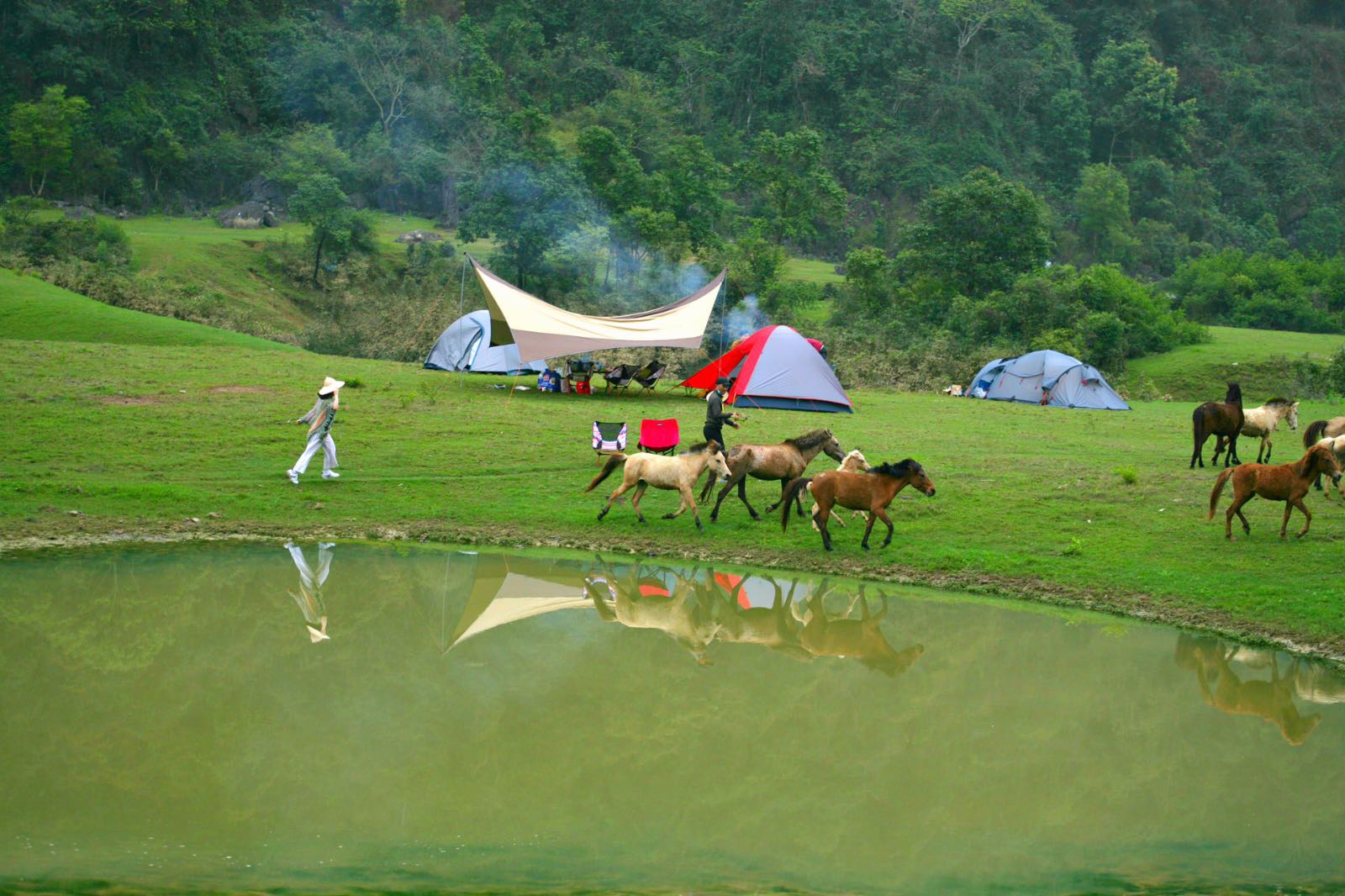 hữu liên, lạng sơn, thảo nguyên