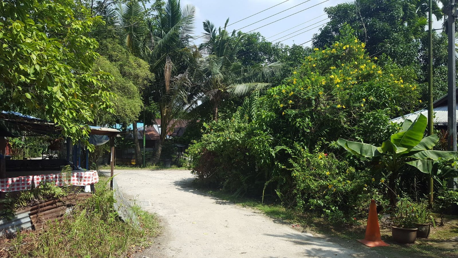 làng kampong lorong buangkok, kampong lorong buangkok, singapore last village,