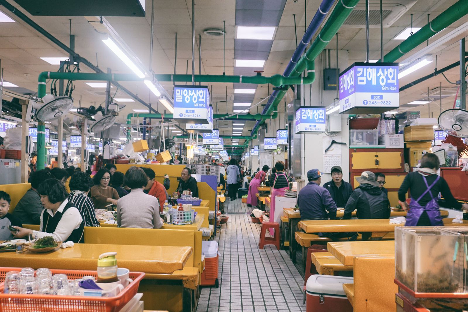 chợ cá, jagalchi, chợ cá jagalchi, hàn quốc, busan