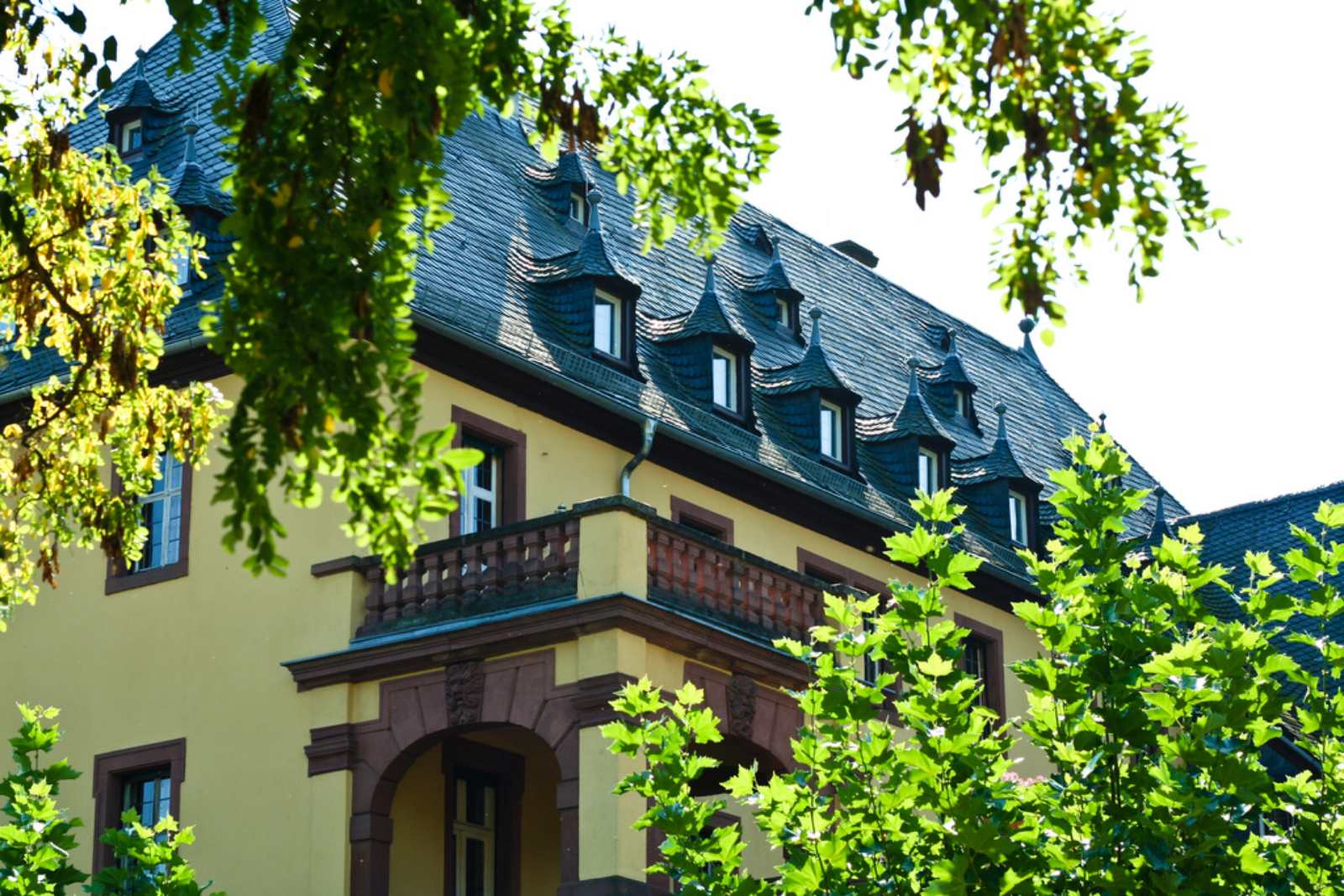 nha-may-ruou-vang-lau-doi-nhat-the-gioi-Schloss-Vollrads
