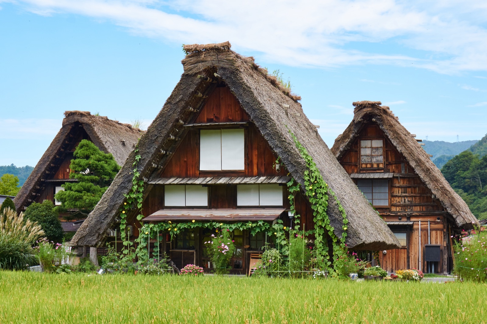 shirakawa-go, shirakawago, làng cổ, nhật bản