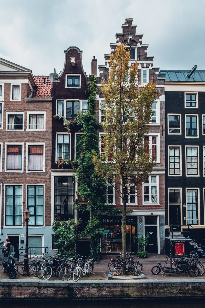 amsterdam, hà lan, thủ đô, 10 điều thú vị 