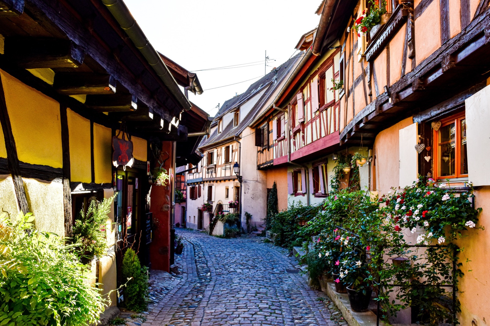 eguisheim, nước pháp, trung cổ, alsace