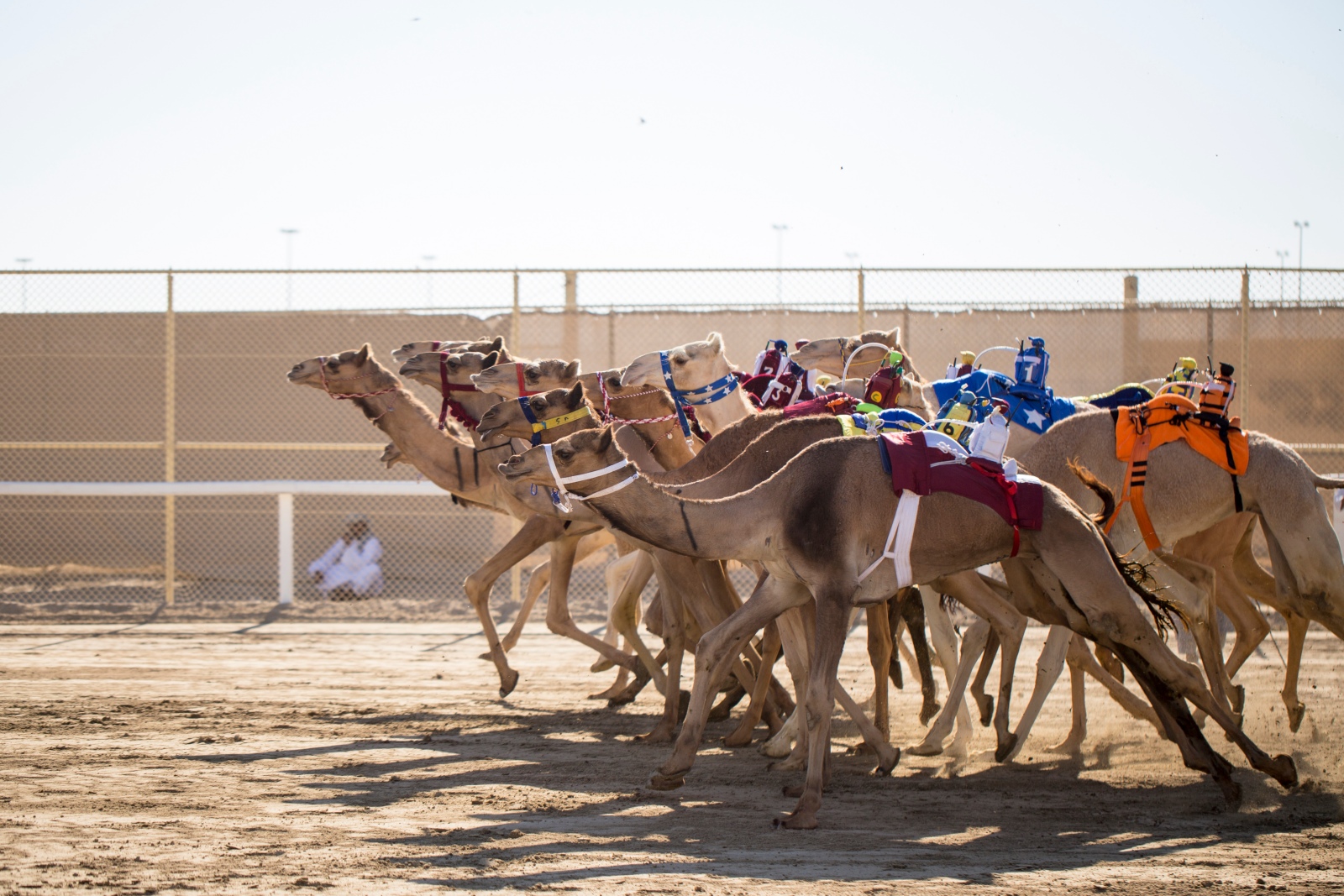 qatar-su-that-thu-vi