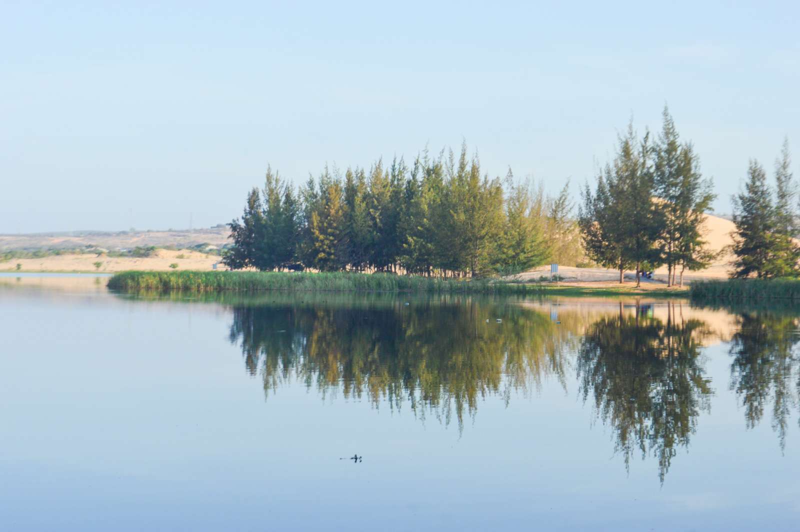 Phan Thiết, du lịch Phan Thiết, Trường Dục Thanh, Bàu Trắng, Tháp Po Sah Inư