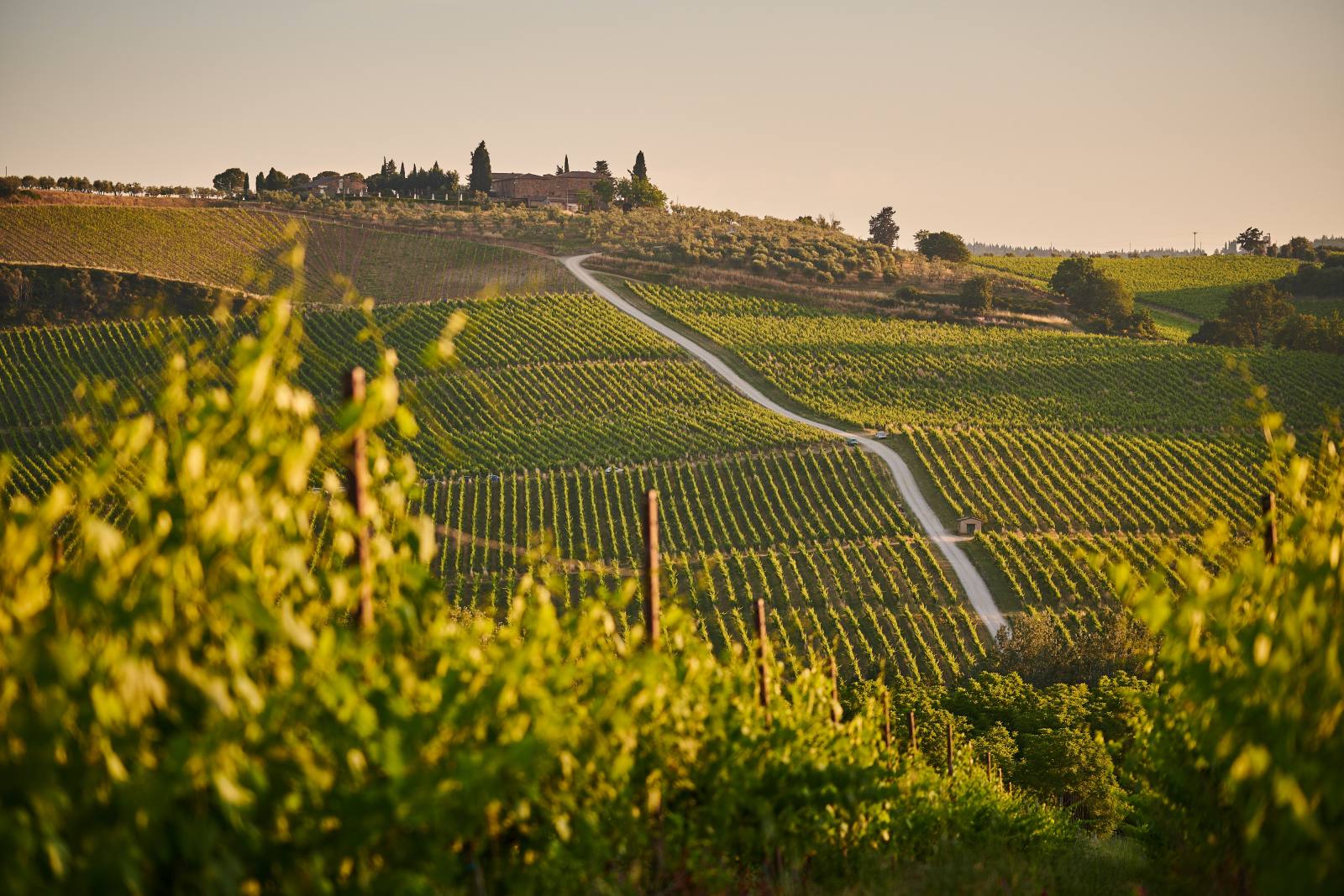du-lich-y-tu-tuc-italy-thap-nghieng-pisa-tuscany-wwk