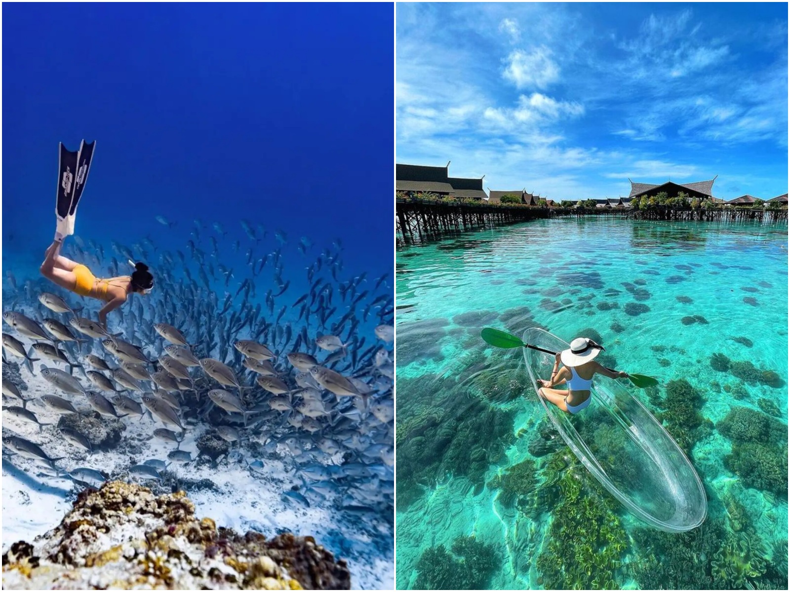 du lịch hè, lặn biển, diving journey, đảo sipadan, sipadan malaysia, du lịch biển, du lịch malaysia, malaysia