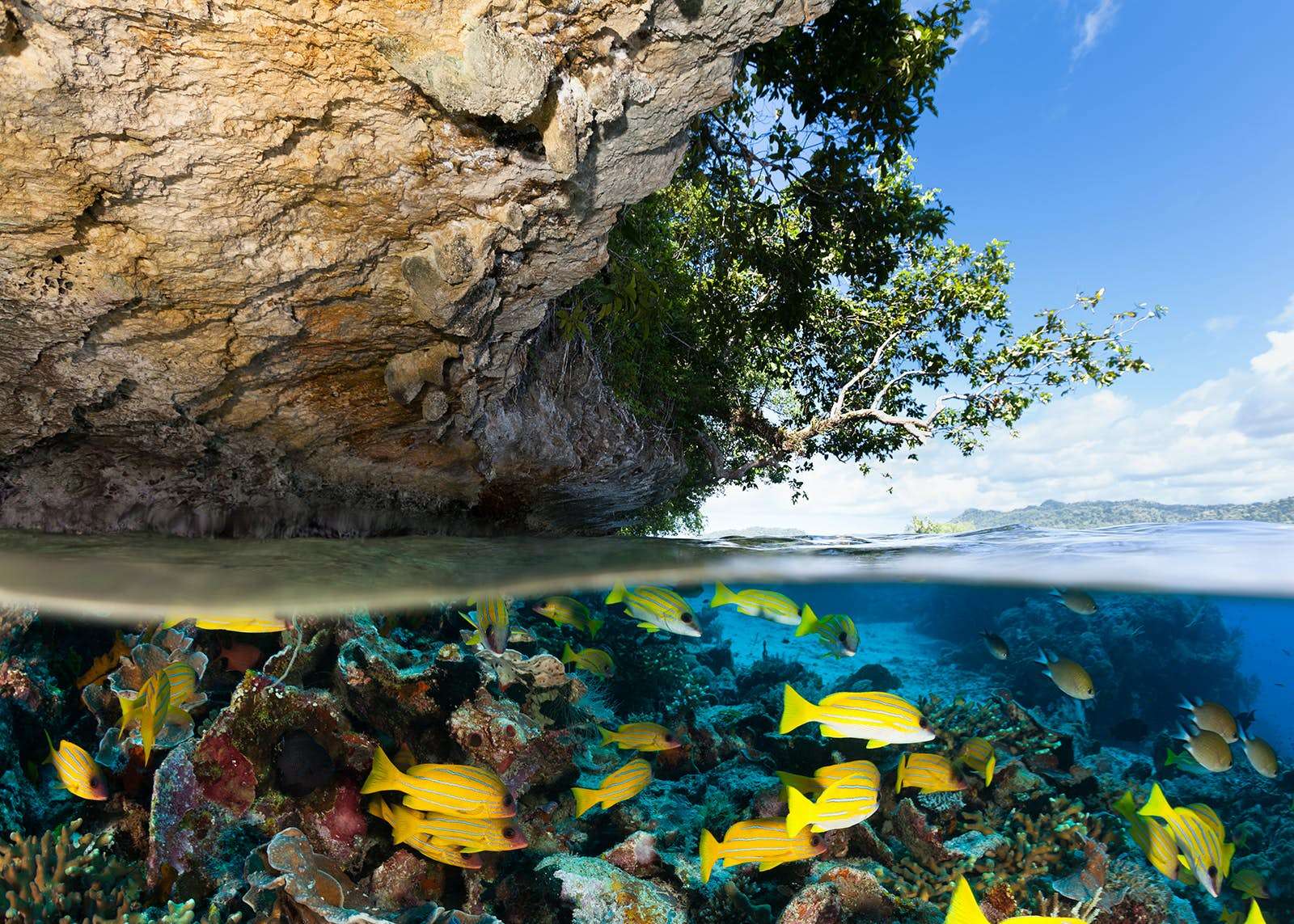 Raja Ampat, “quần đảo thiên đường”, điểm ngắm san hô, du lịch Indonesia