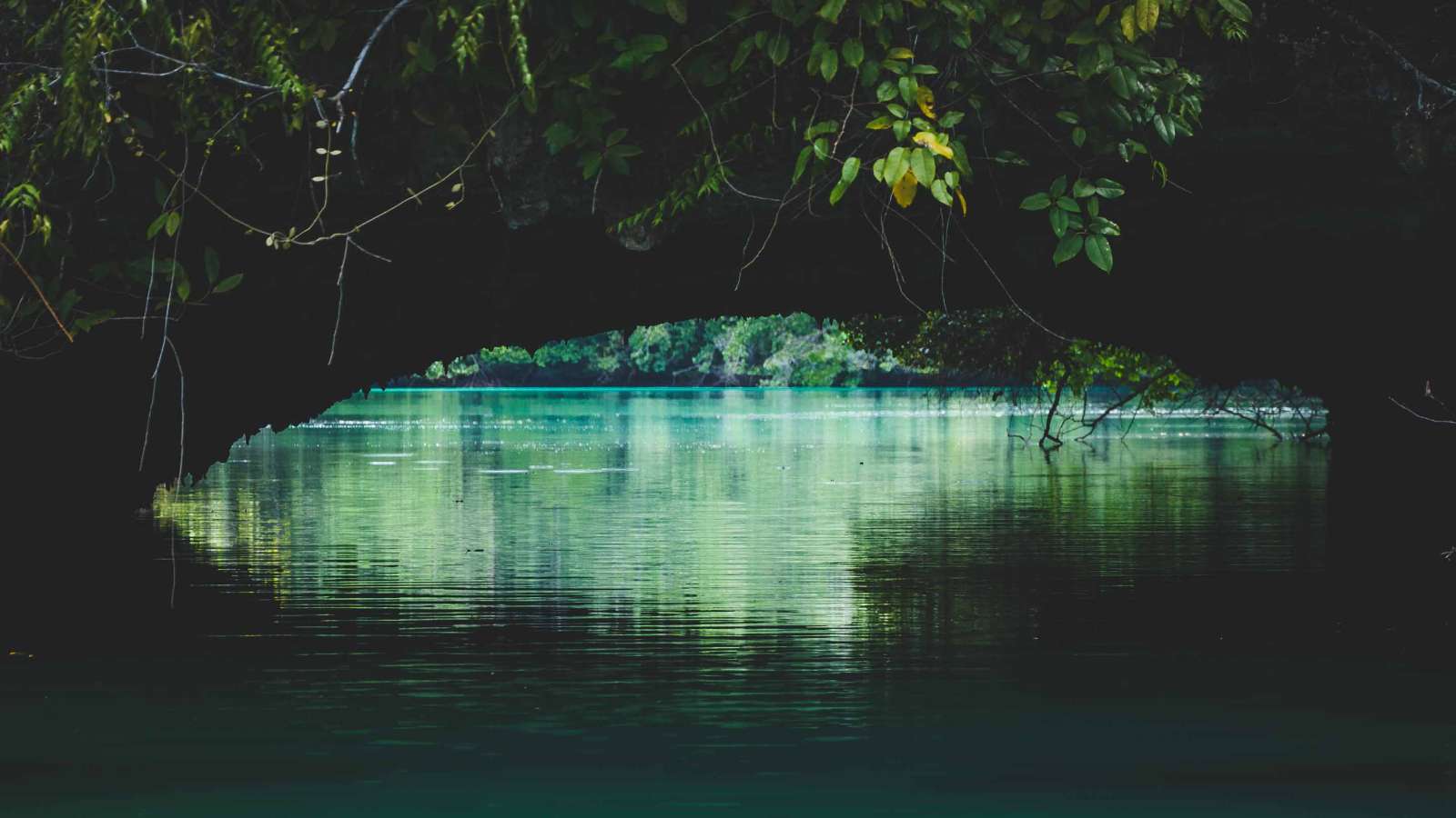 Raja Ampat, “quần đảo thiên đường”, điểm ngắm san hô, du lịch Indonesia