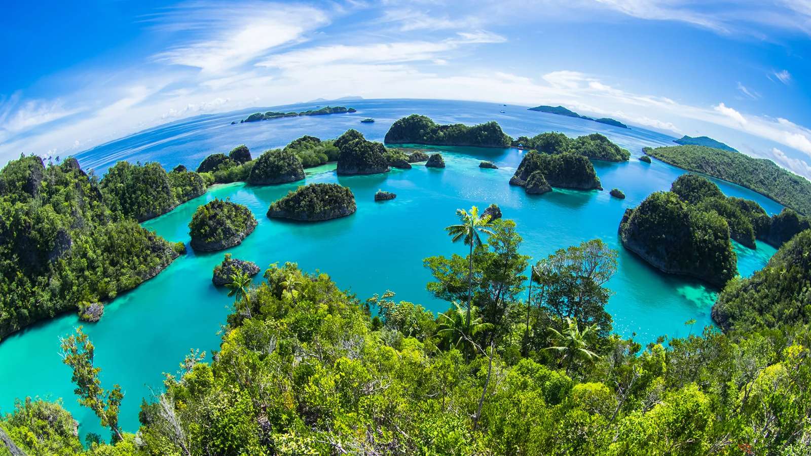 Raja Ampat, “quần đảo thiên đường”, điểm ngắm san hô, du lịch Indonesia