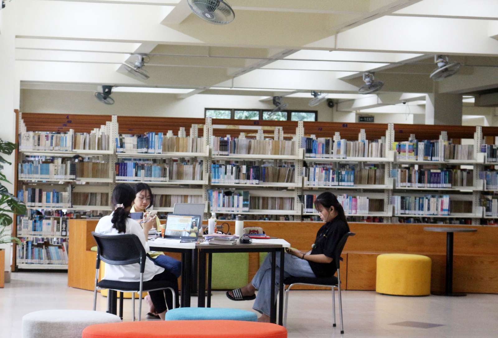 thư viện, không gian yên tĩnh, không gian đọc sách, sách hay
