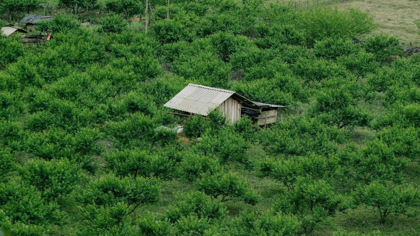 Hang Táu, Mộc Châu, du lịch Mộc Châu, điểm đến hoang sơ