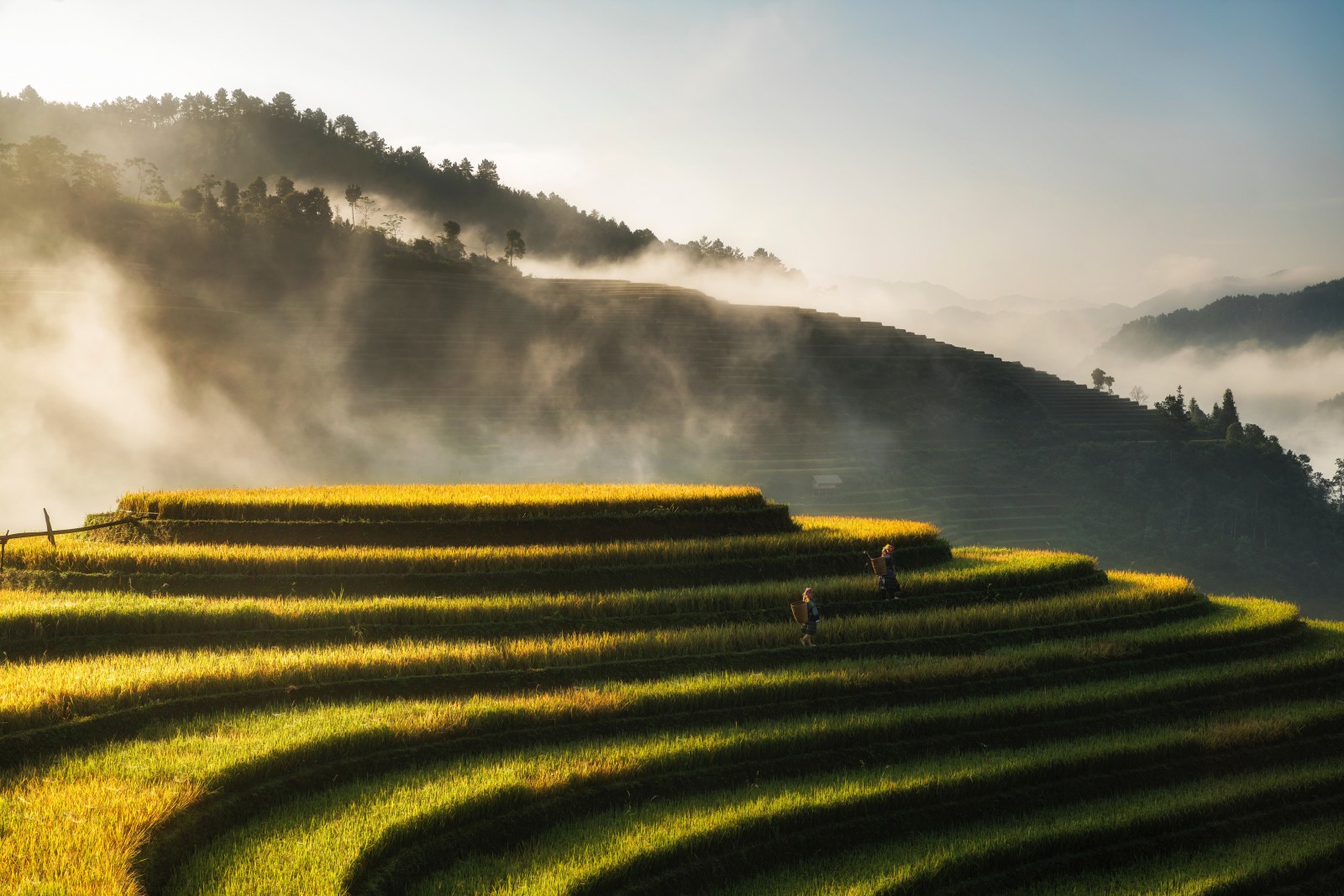 Trekking, Việt Nam, Hang Én, Lùng Cúng, Mù Cang Chải, LiangBiang, du lịch dịp lễ, du lịch mạo hiểm