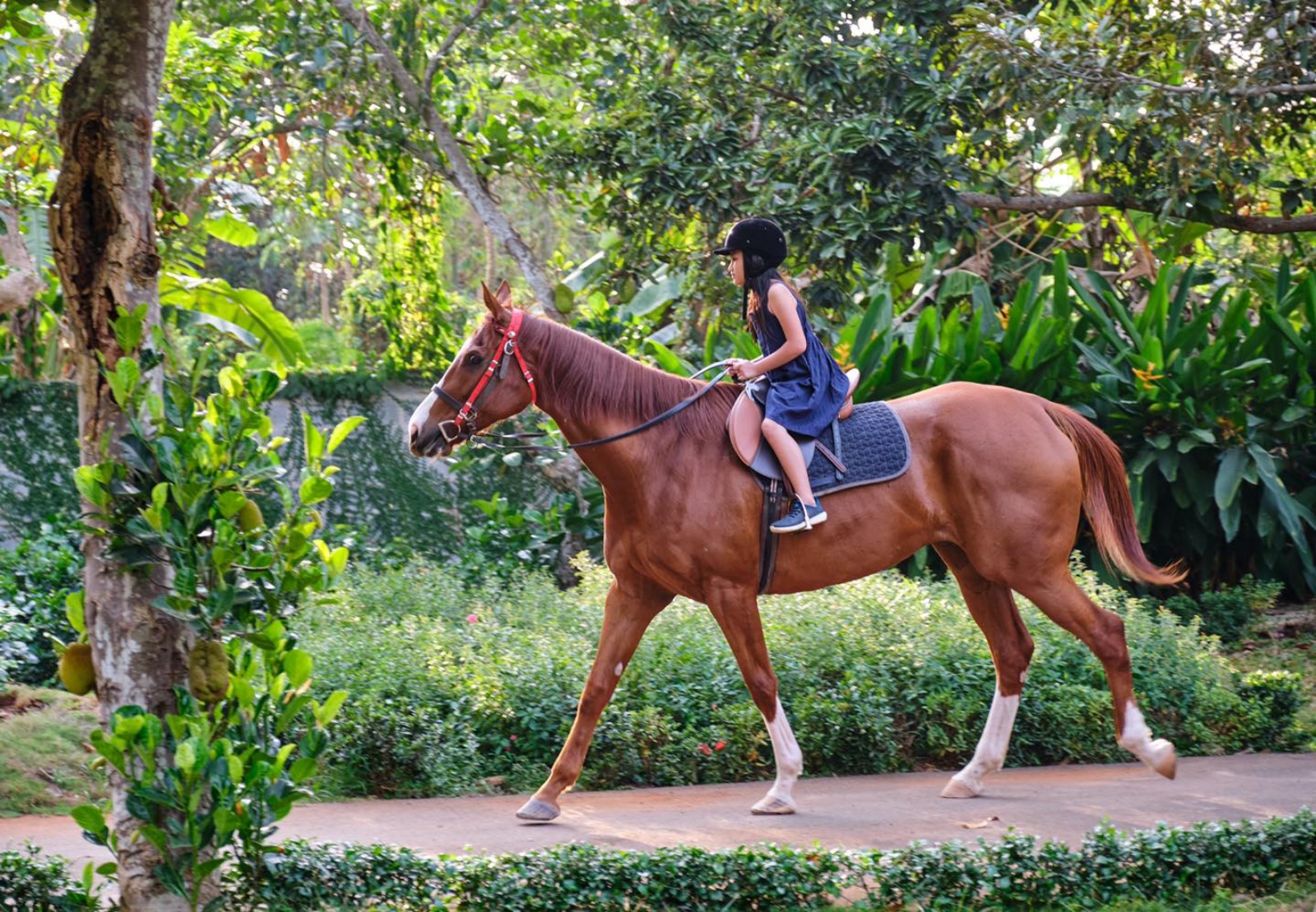 xu hướng du lịch, du lịch farmstay, Greenfield farmstay, Chày Lập farmstay, Chapa farmstay, Gạo farmstay