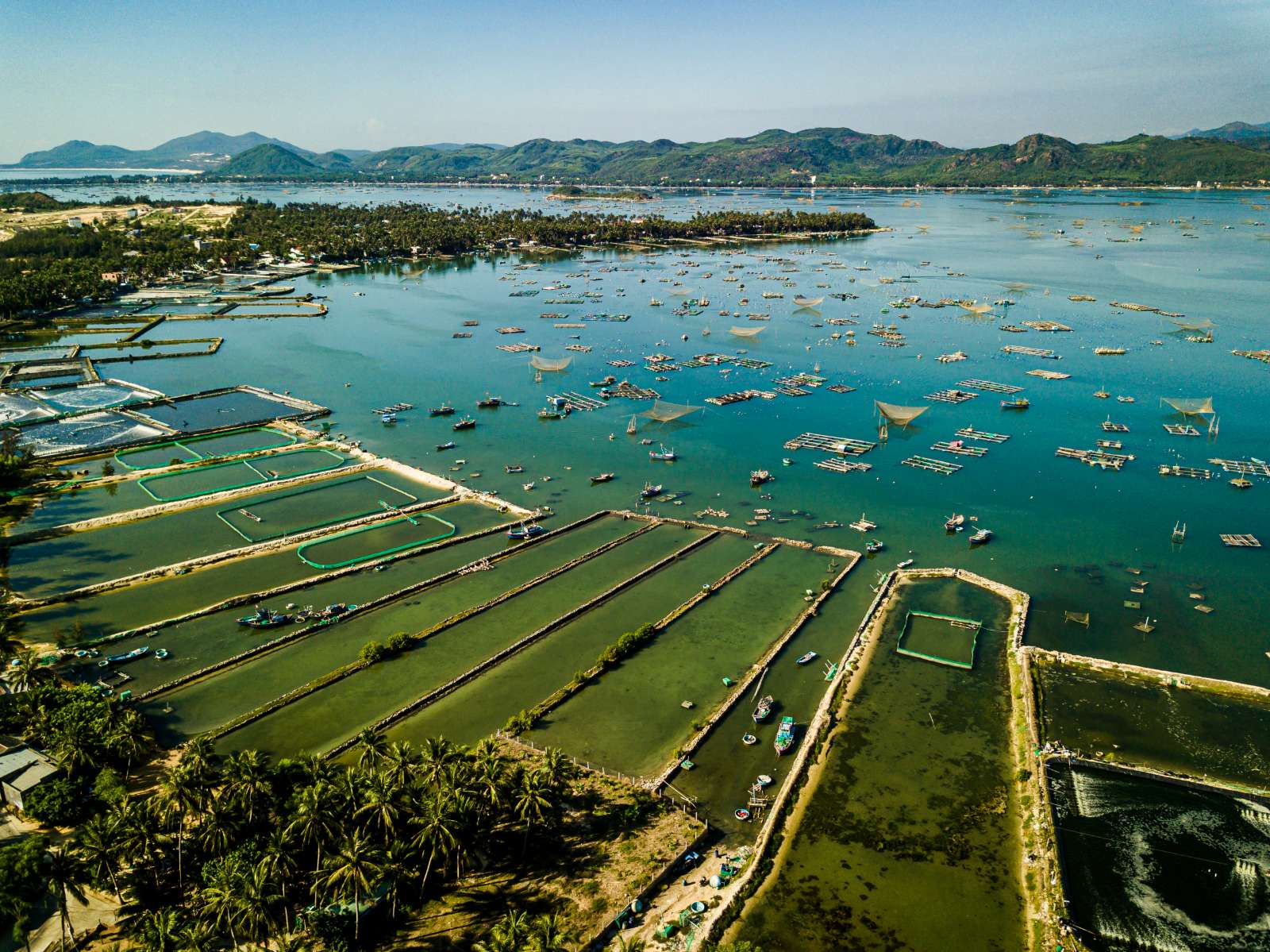Du lịch Sông Cầu, Zannier Hotels Bãi San Hô, Phú Yên, du lịch Phú Yên 