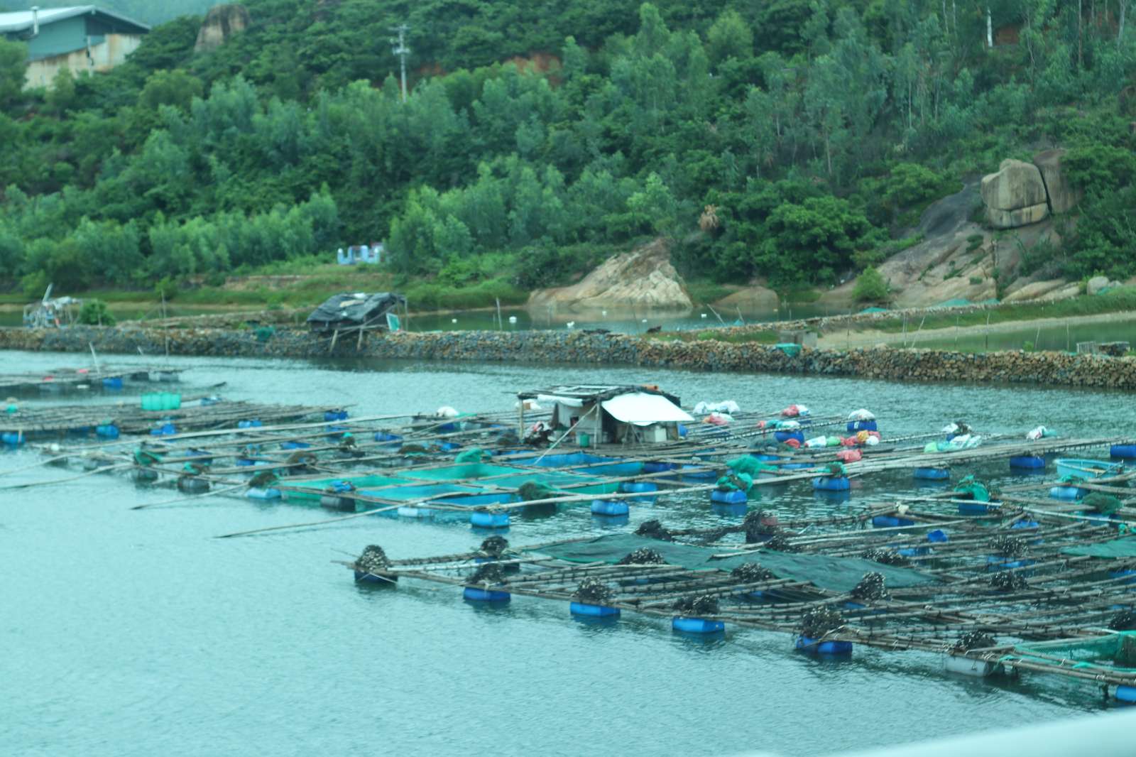 Du lịch Sông Cầu, Zannier Hotels Bãi San Hô, Phú Yên, du lịch Phú Yên 