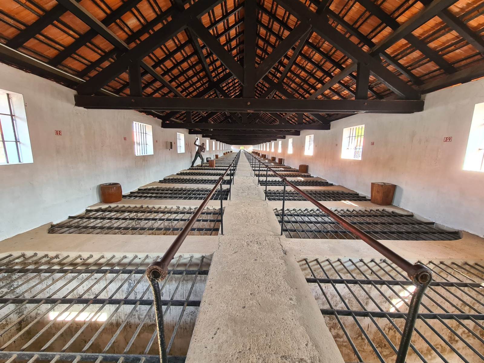 côn đảo, du lịch côn đảo, trải nghiệm du lịch, gợi ý du lịch, gợi ý điểm đến, du lịch biển đảo