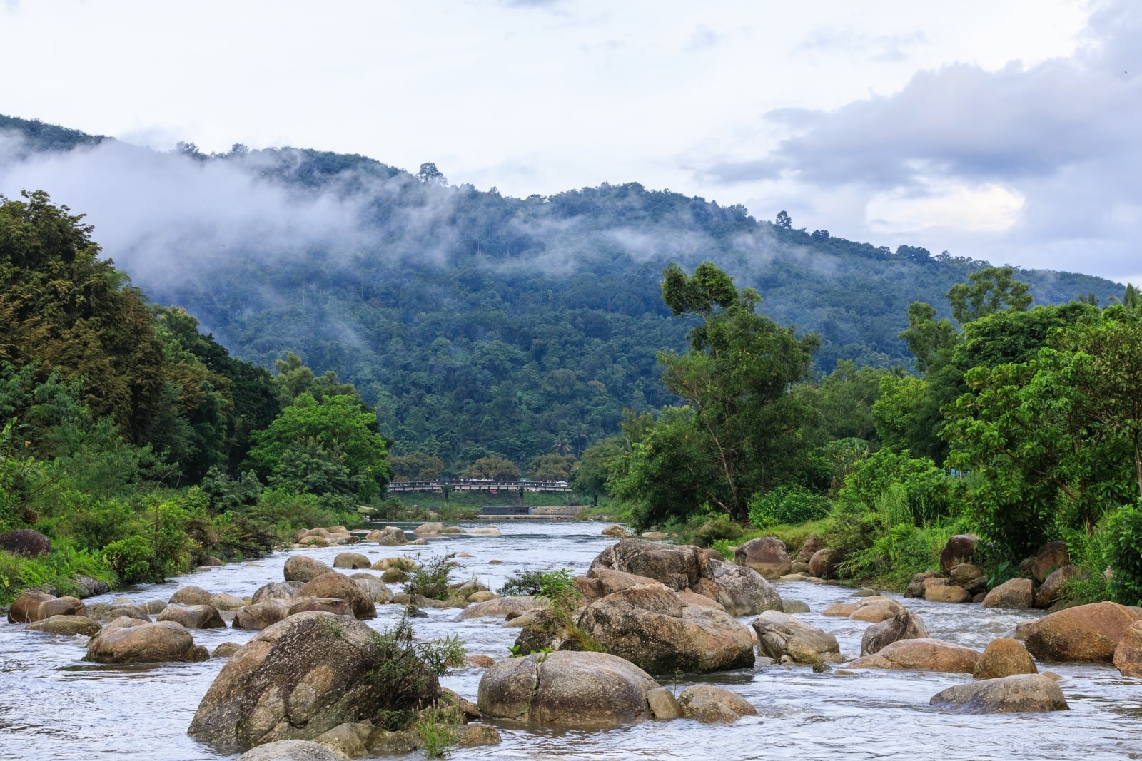 Du lịch nông nghiệp, du lịch Thái Lan, Chiang Rai, Nakhon Pathom, Nakhon Si Thammarat 