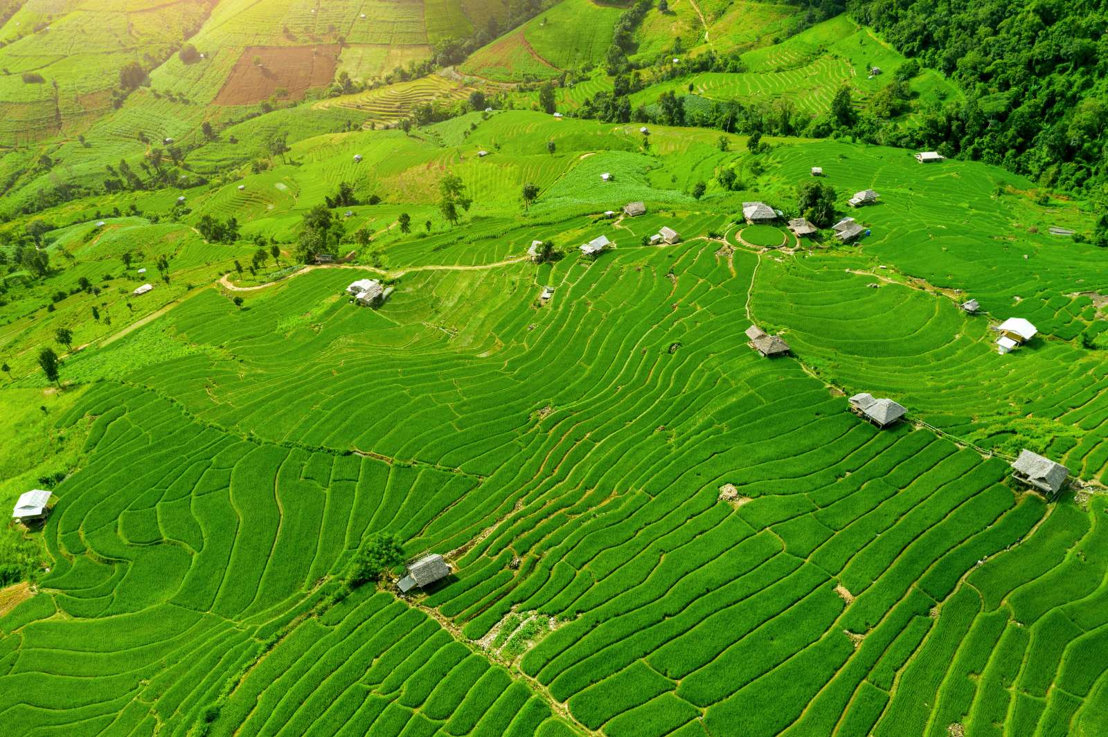 Du lịch nông nghiệp, du lịch Thái Lan, Chiang Rai, Nakhon Pathom, Nakhon Si Thammarat 