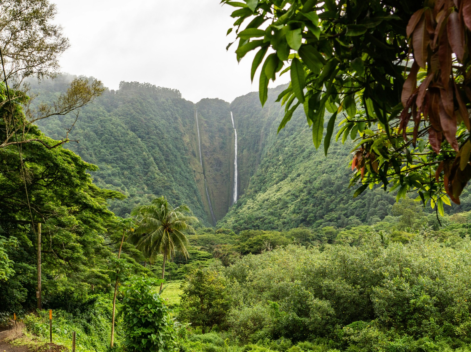 Hawaii, du lịch Hawaii, đồ ăn Hawaii, travel to Hawaii, lịch sử Hawaii