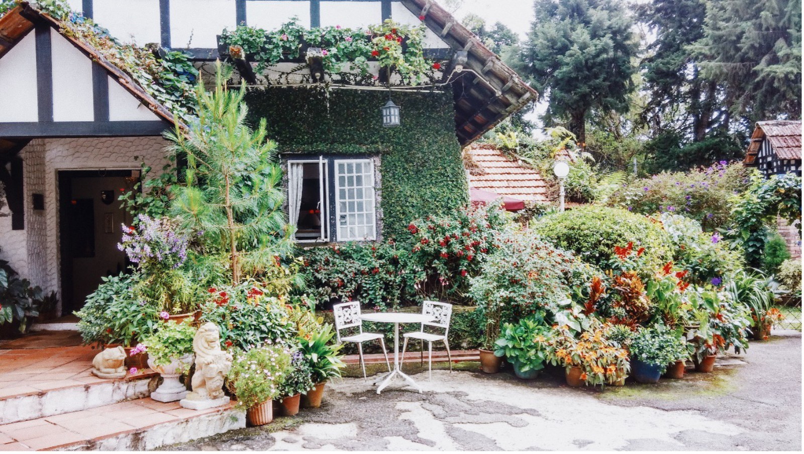 trải nghiệm du lịch, gợi ý hành trình, du lịch malaysia, cao nguyên Cameron, Cameron highlands