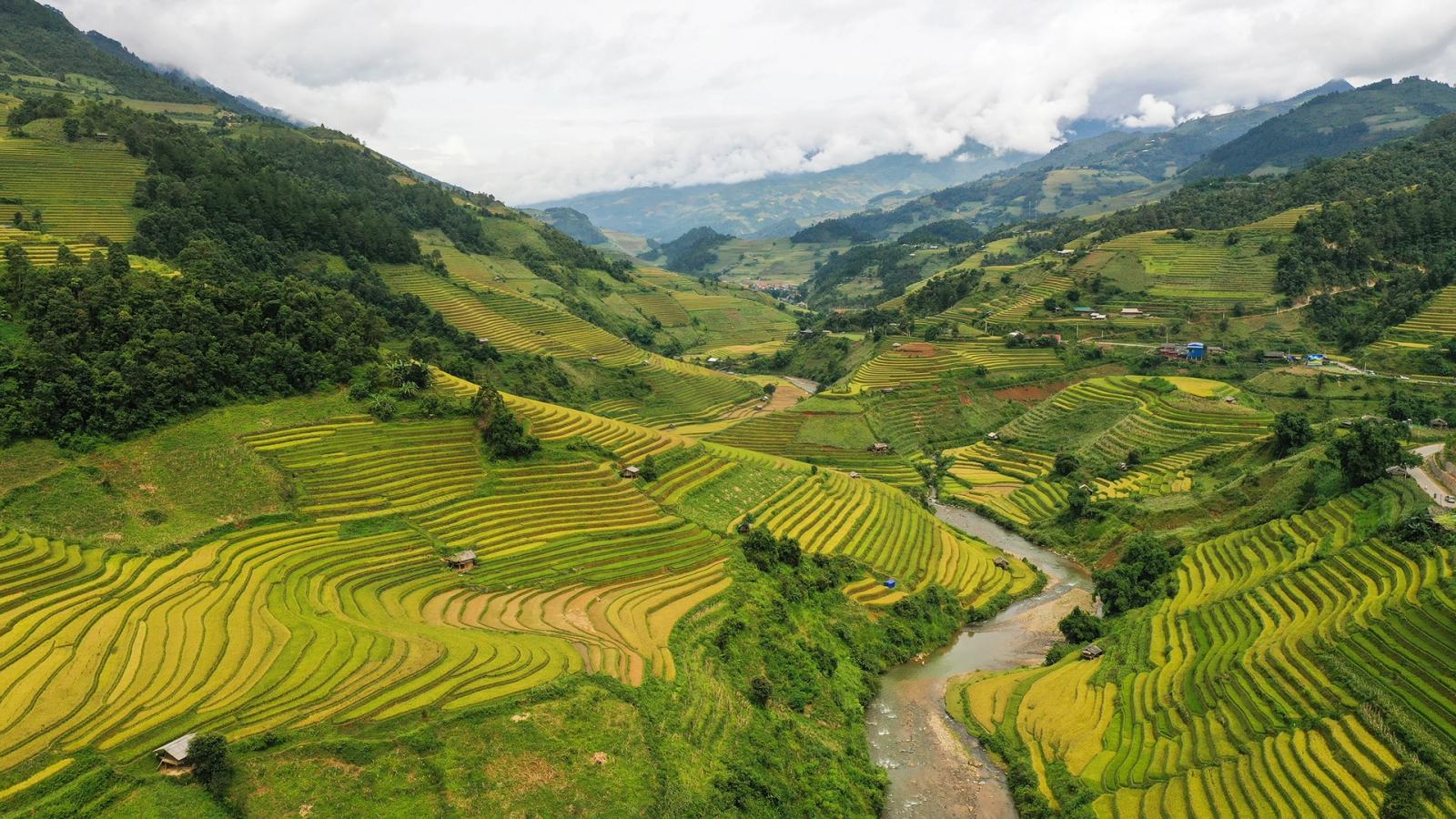 gợi ý điểm đến, lễ 2/9, mùa thu Hà Nội, Mù Cang Chải mùa lúa chín, Vịnh đảo Vĩnh Hy, rừng tràm Trà Sư