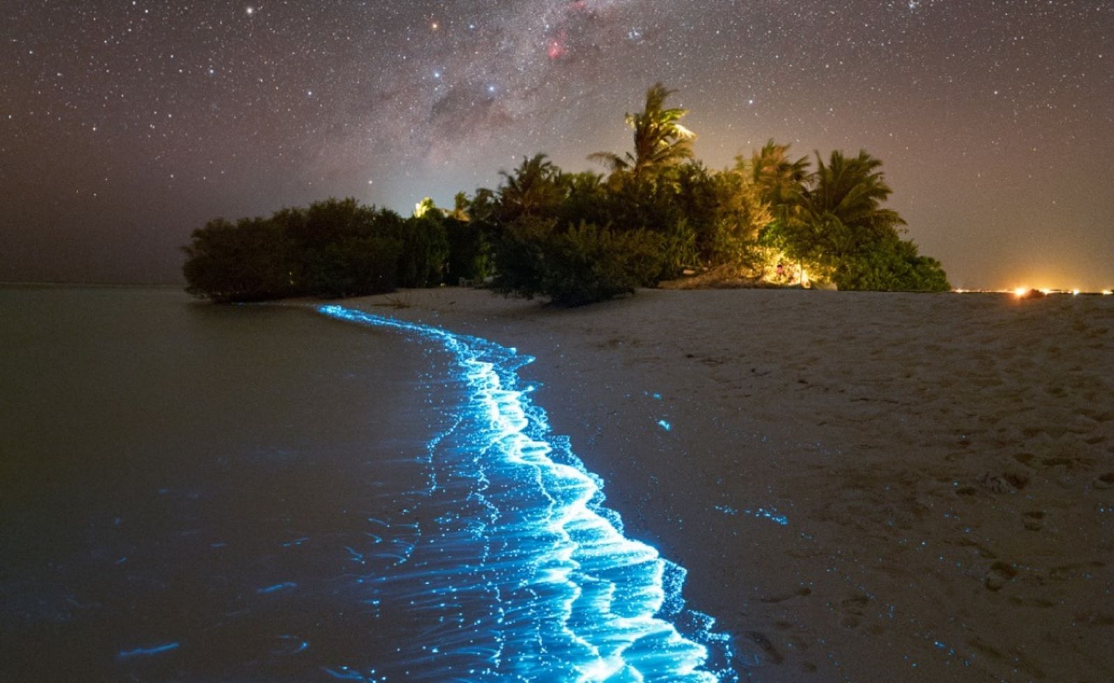 Noctourism