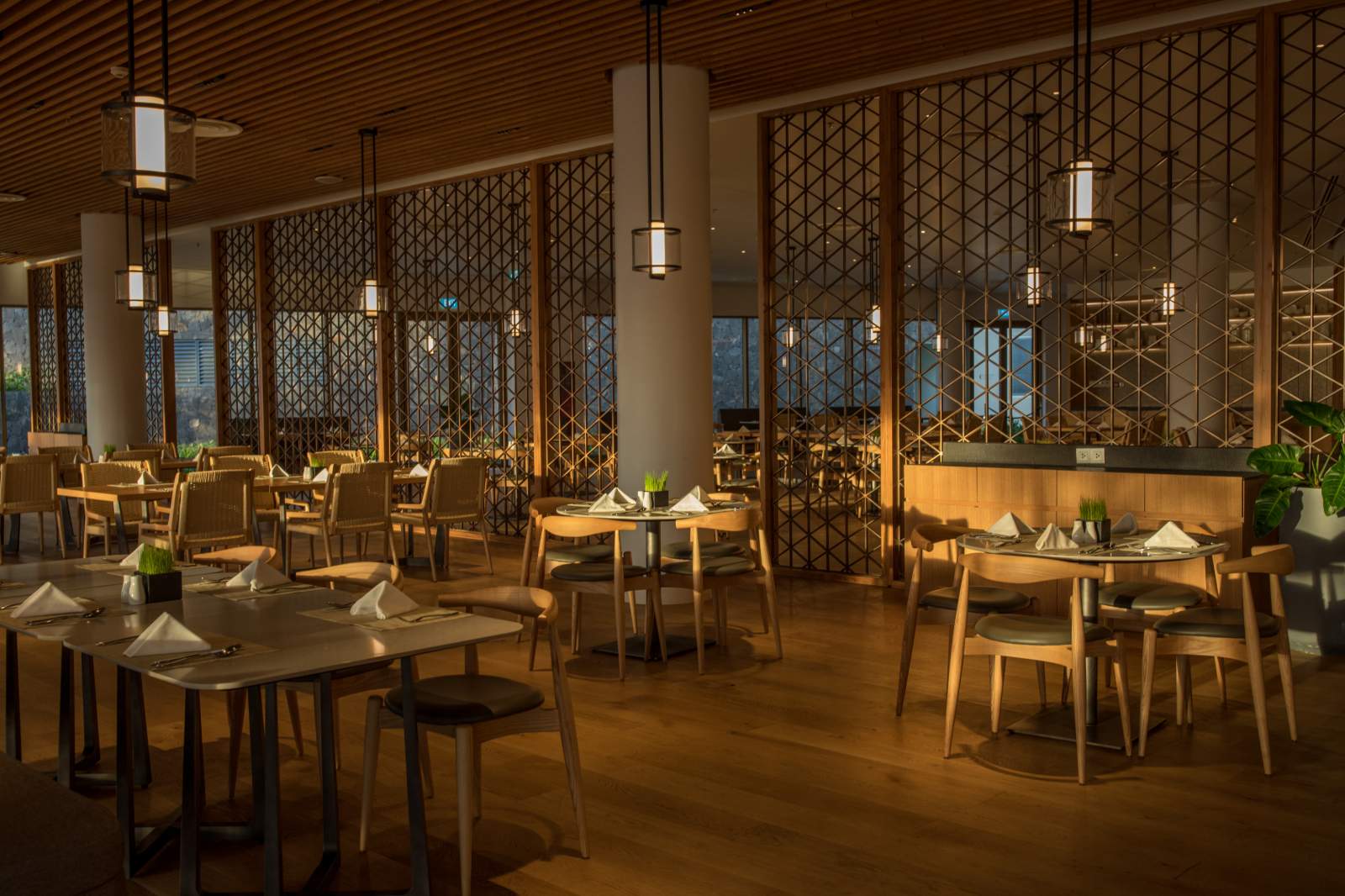 Alma Resort, noel, giáng sinh, tiệc năm mới, cây thông