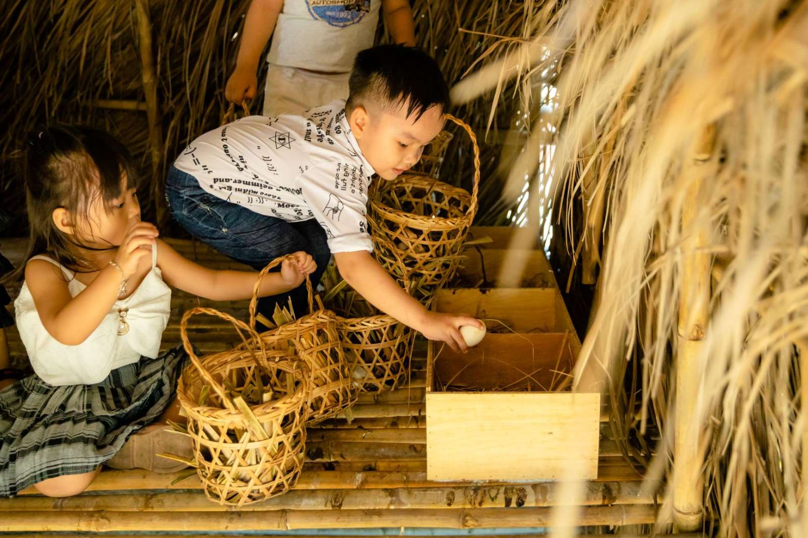 Fusion Group, Thực phẩm Organic