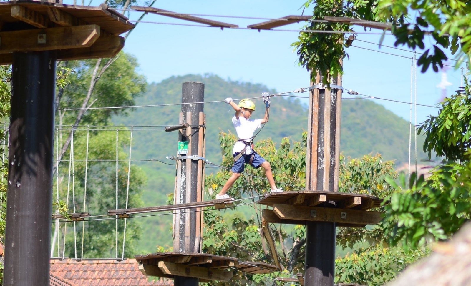 Fusion Hotel Group, Alba Wellness Valley by Fusion, Fusion Suites Vũng Tàu, Maia Resort Quy Nhơn, Fusion Resort Cam Ranh