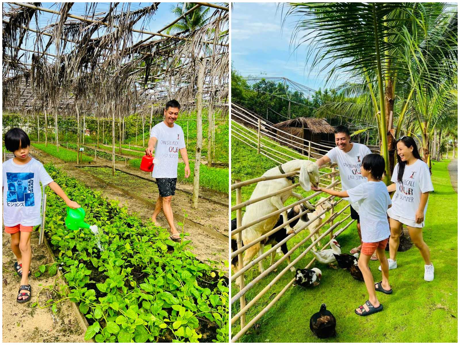 Fusion Hotel Group, Alba Wellness Valley by Fusion, Fusion Suites Vũng Tàu, Maia Resort Quy Nhơn, Fusion Resort Cam Ranh